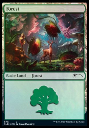 Forest (Predatory) (578) [Secret Lair Drop Promos] | Yard's Games Ltd