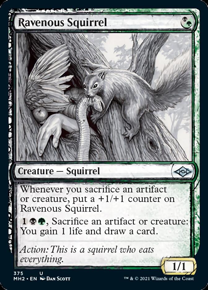 Ravenous Squirrel (Sketch) [Modern Horizons 2] | Yard's Games Ltd