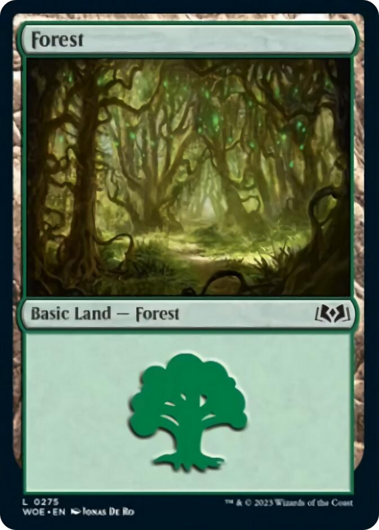 Forest (0275) [Wilds of Eldraine] | Yard's Games Ltd