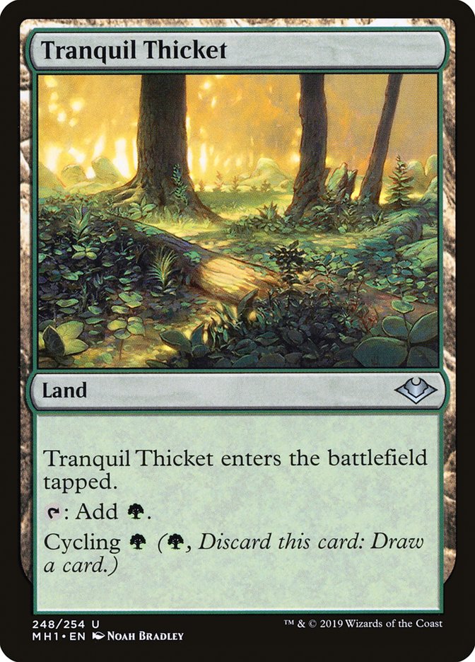 Tranquil Thicket [Modern Horizons] | Yard's Games Ltd