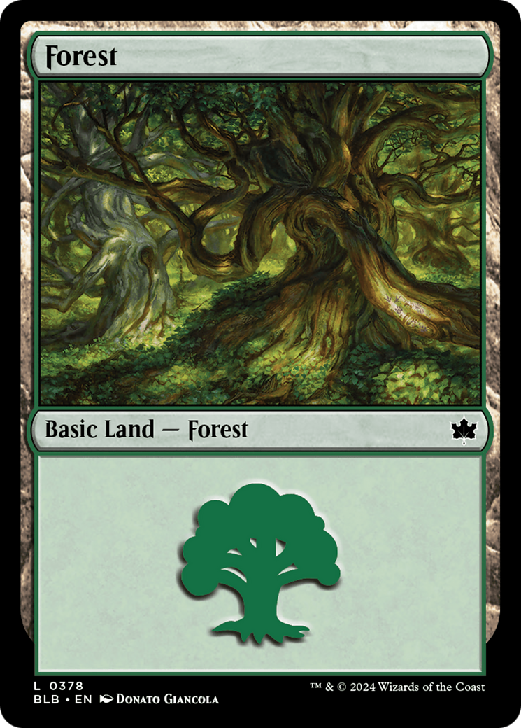 Forest (0378) [Bloomburrow] | Yard's Games Ltd