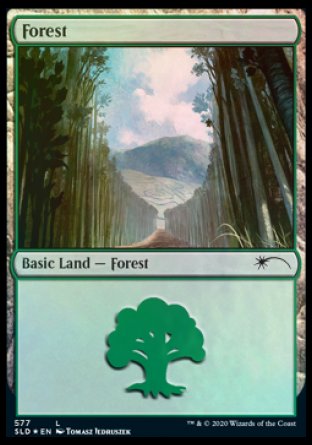 Forest (Walls) (577) [Secret Lair Drop Promos] | Yard's Games Ltd