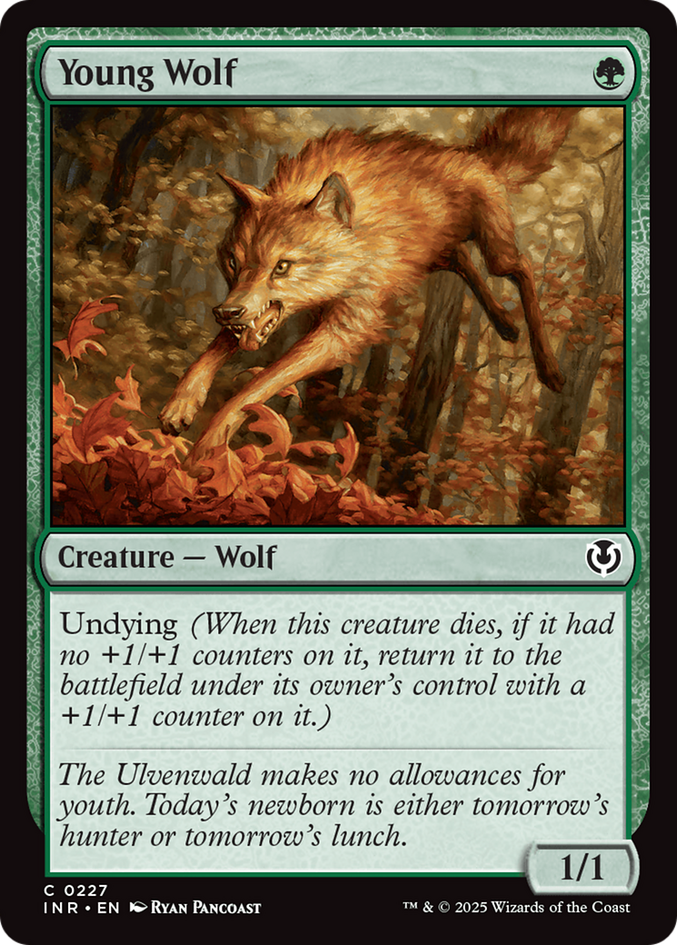 Young Wolf [Innistrad Remastered] | Yard's Games Ltd