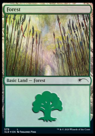 Forest (Elves) (579) [Secret Lair Drop Promos] | Yard's Games Ltd