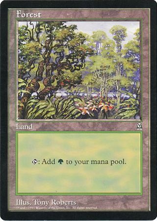 Forest (Oversized) [Oversize Cards] | Yard's Games Ltd