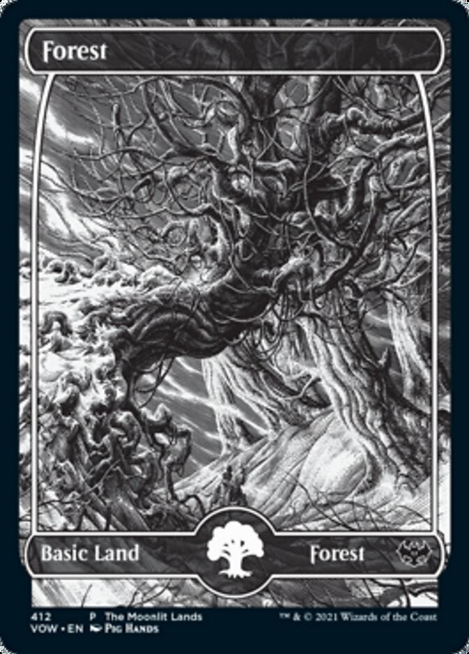 Forest (The Moonlit Lands) (Foil Etched) [Innistrad: Crimson Vow Promos] | Yard's Games Ltd