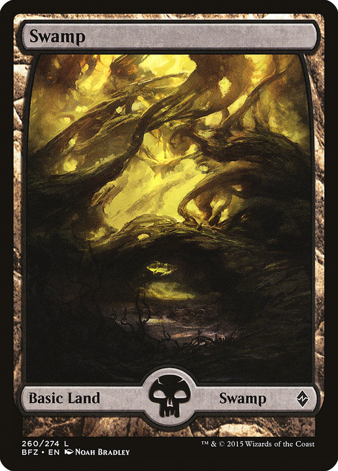 Swamp (260) (Full Art) [Battle for Zendikar] | Yard's Games Ltd