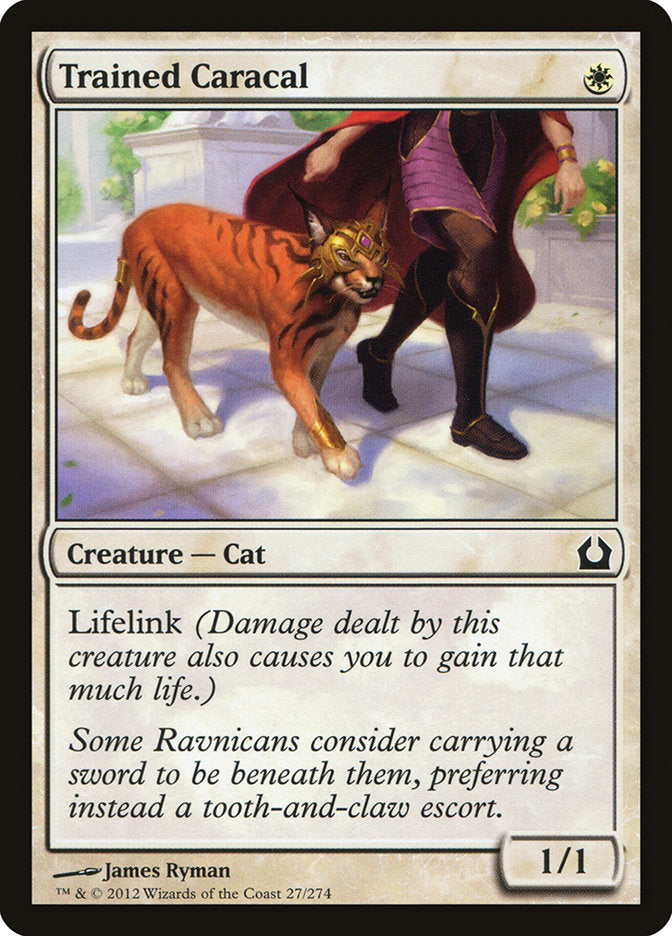 Trained Caracal [Return to Ravnica] | Yard's Games Ltd