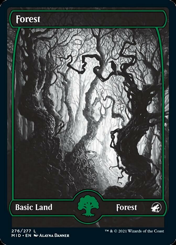 Forest (276) [Innistrad: Midnight Hunt] | Yard's Games Ltd