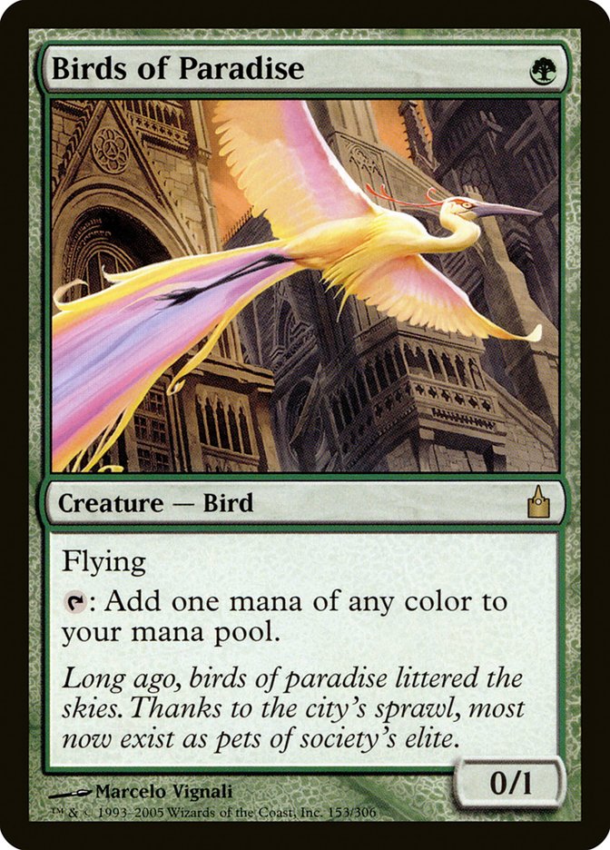 Birds of Paradise [Ravnica: City of Guilds] | Yard's Games Ltd