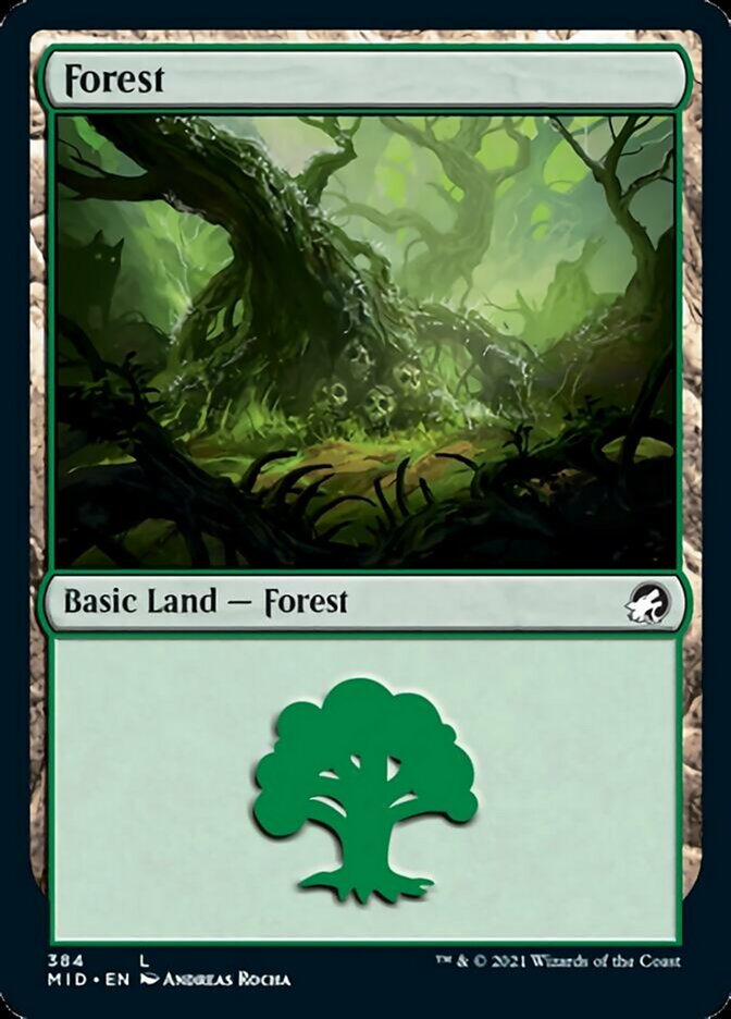 Forest (384) [Innistrad: Midnight Hunt] | Yard's Games Ltd