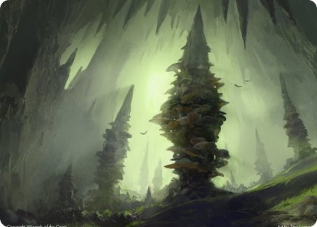 Forest (280) Art Card [Dungeons & Dragons: Adventures in the Forgotten Realms Art Series] | Yard's Games Ltd