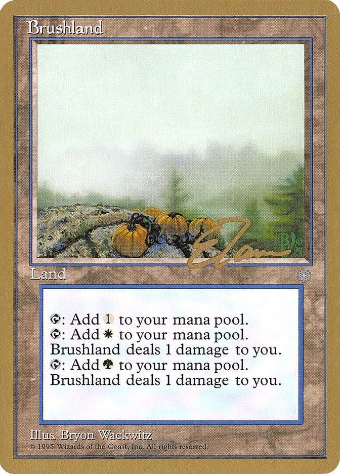 Brushland (Eric Tam) [Pro Tour Collector Set] | Yard's Games Ltd