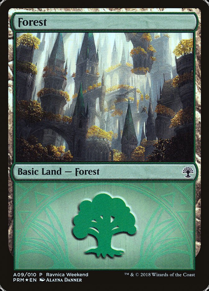 Forest (A09) [Ravnica Allegiance Ravnica Weekend] | Yard's Games Ltd