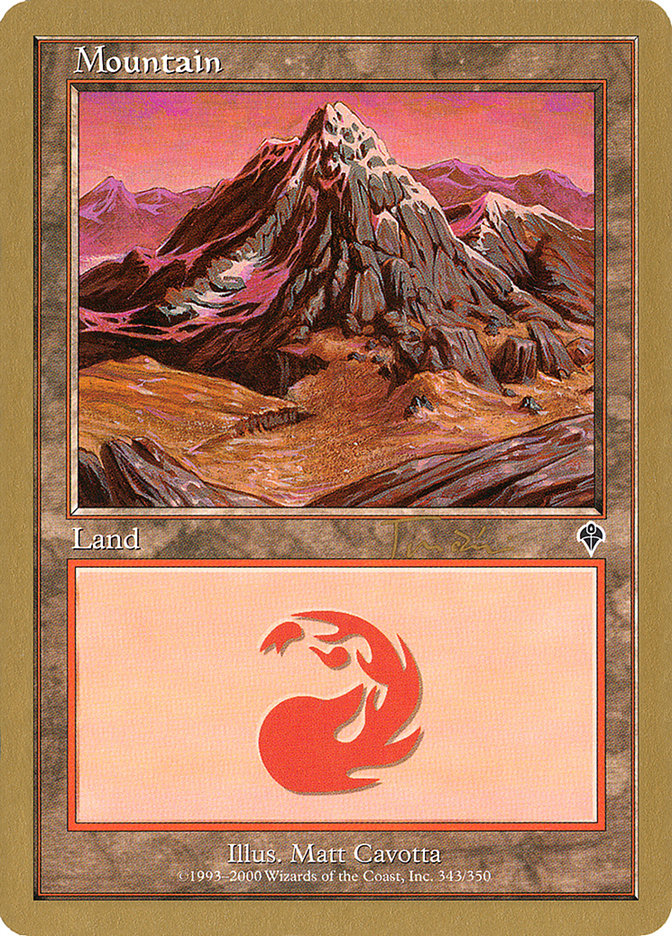 Mountain (jt343a) (Jan Tomcani) (INV) [World Championship Decks 2001] | Yard's Games Ltd