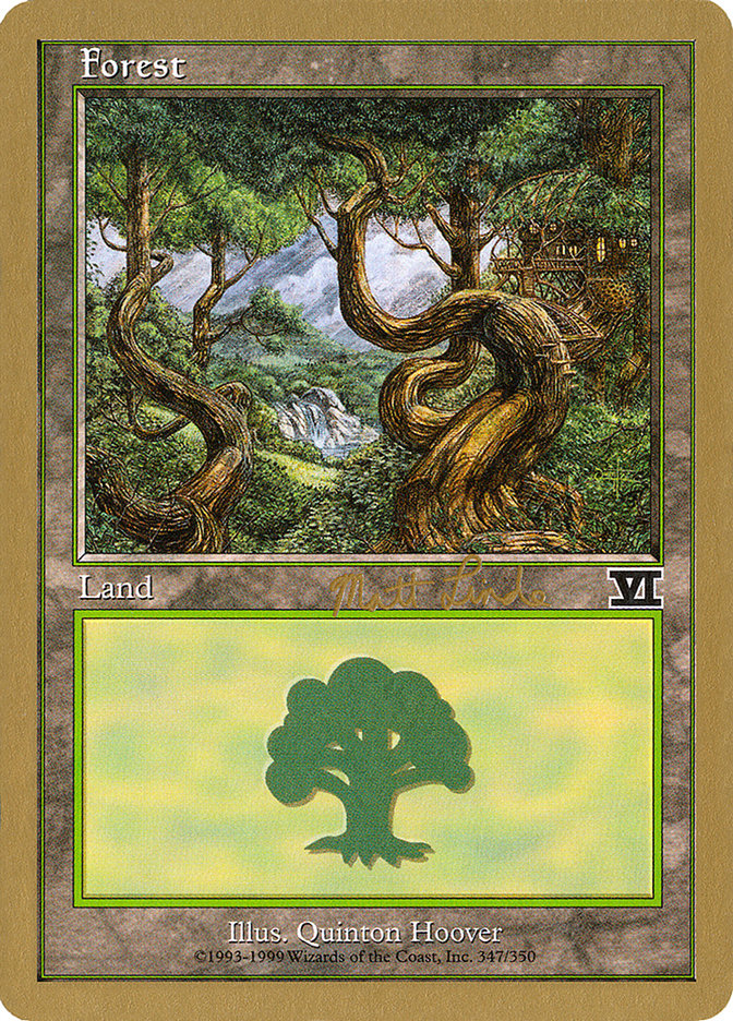 Forest (ml347b) (Matt Linde) [World Championship Decks 1999] | Yard's Games Ltd