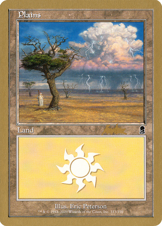 Plains (bk333) (Brian Kibler) [World Championship Decks 2002] | Yard's Games Ltd